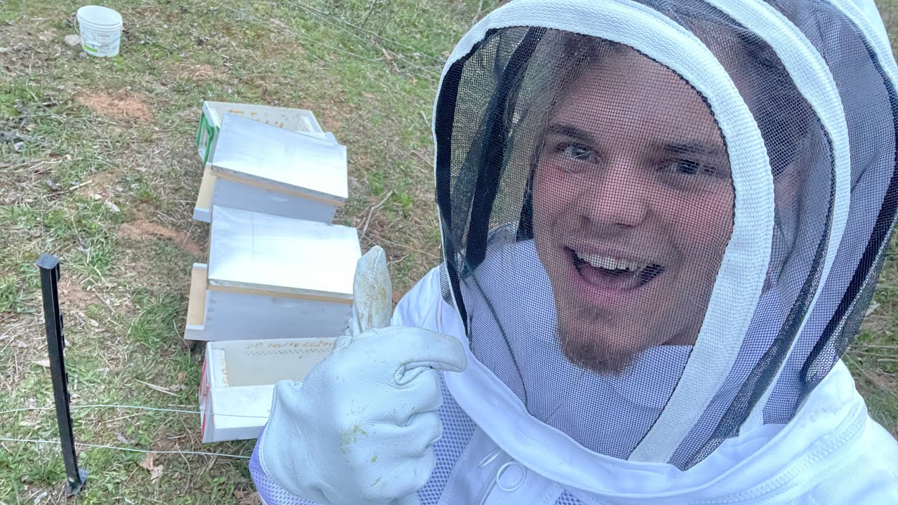 My First BEE HIVES On The Flower Farm