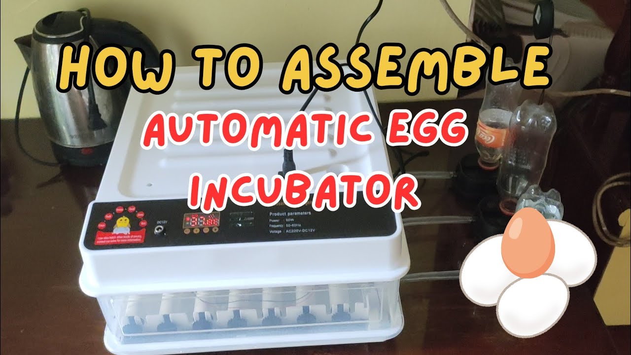 How To Assemble Automatic Egg Incubator
