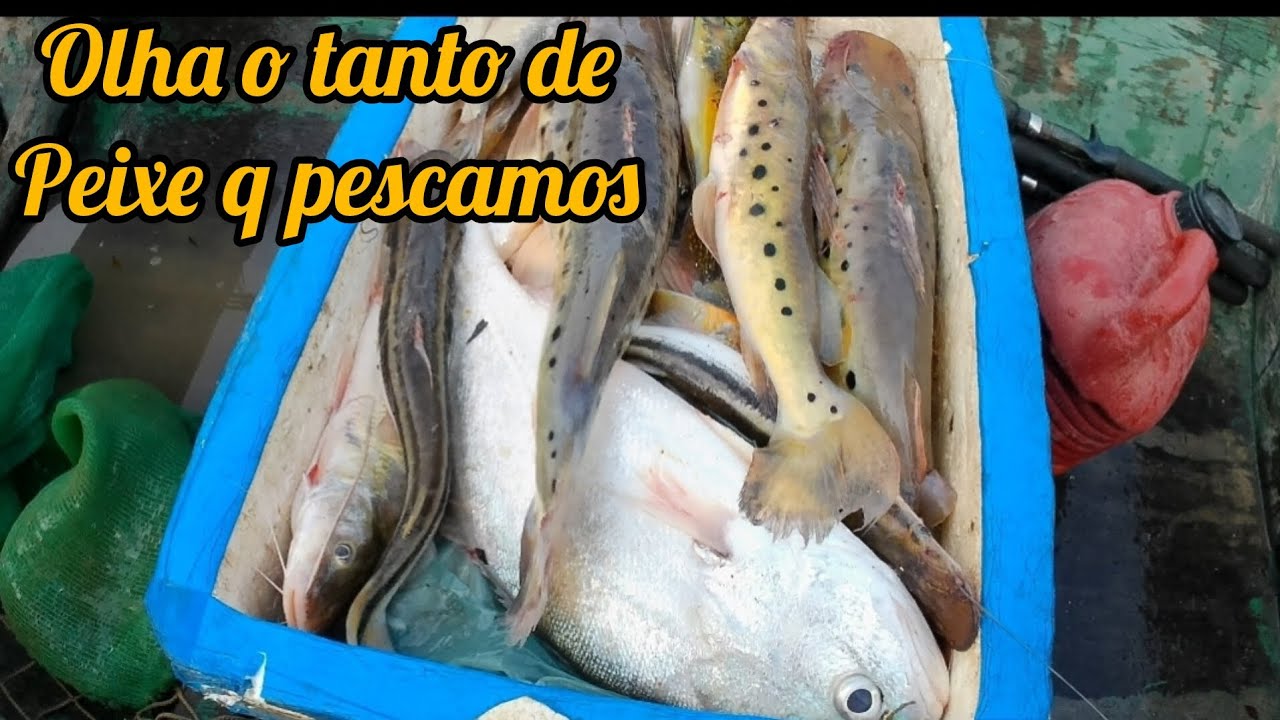 Depois de muito tempo sem ir no rio, olha o tanto de peixe q pegamos #pescaria #barcopesqueiro #top 