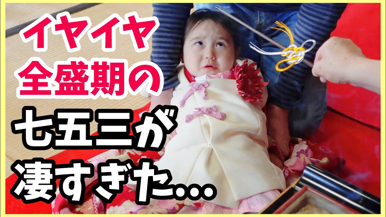 【日本で家族と七五三】自由過ぎるオーストラリア3歳児！実家のお寺で七五三したらカオスになったｗ