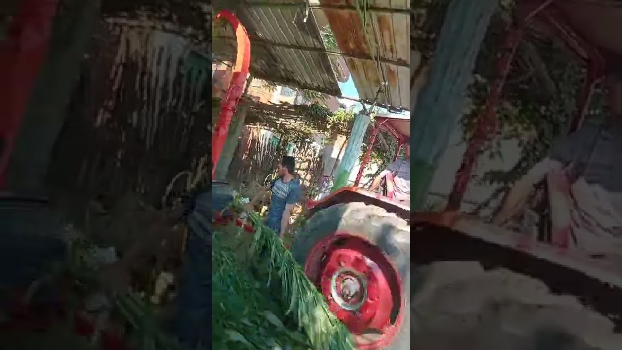٠١١١٠٢٩٥٠٣٦ / ابراهيم الدسوقي