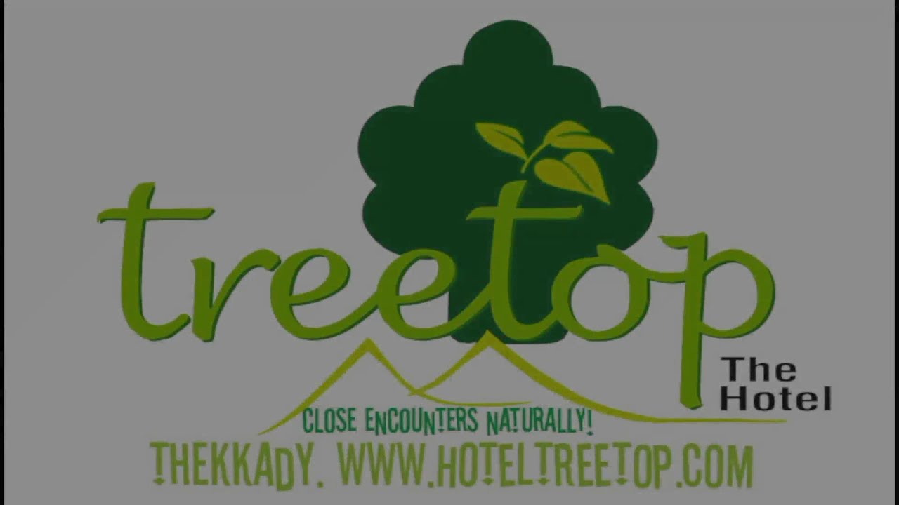 Hotel Treetop