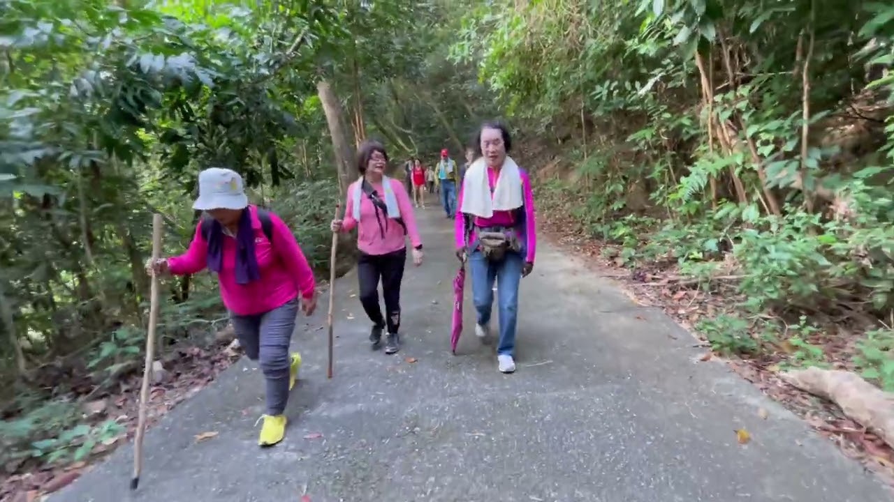 高雄美濃茄苳神木&茶頂山