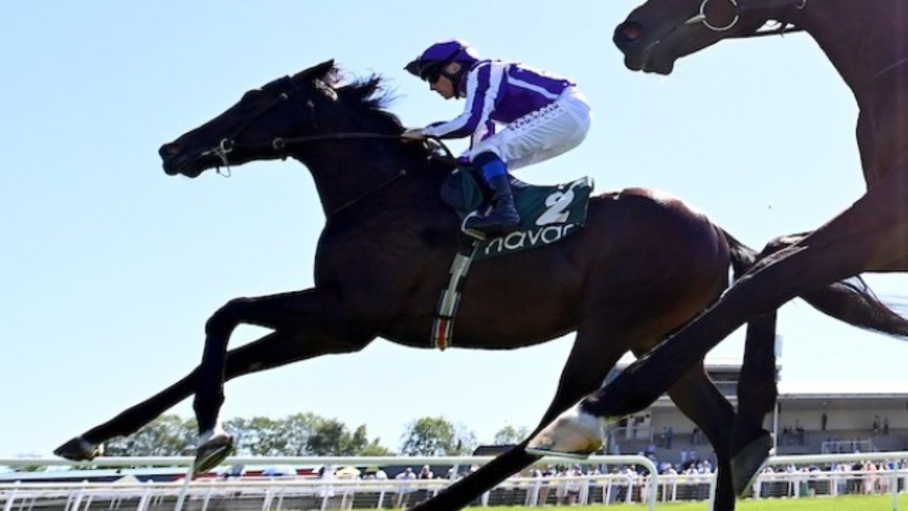 🚀 GSTAAD looks another exciting one for Aidan O'Brien | Racing TV