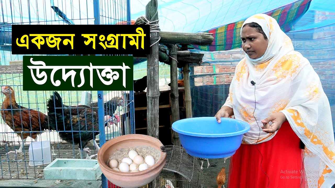 সংগ্রামী নারী উদ্যোক্তা - পলিথিন দিয়ে দেশি মুরগি পালন করে ভাগ্য বদলের চেষ্টায় সালমা আপা | desi murgi