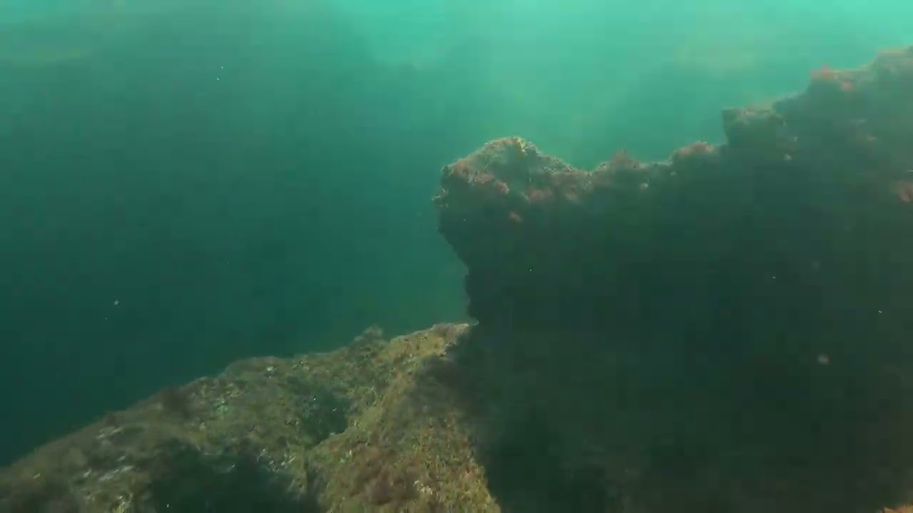 Chasse sous marine MAROC Exploration d'un nouveau spot