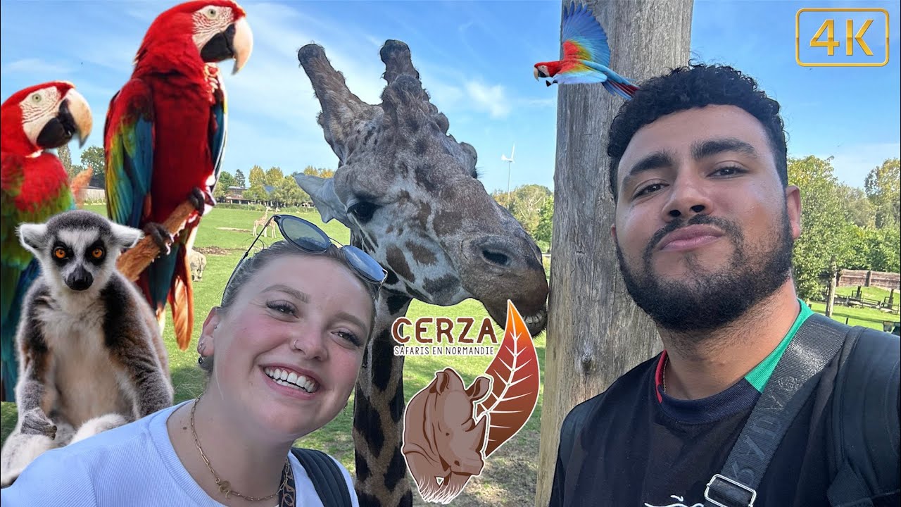 Zoo de Cerza, le plus grand zoo de Normandie , safari train, nourrissage des animaux …🥰￼