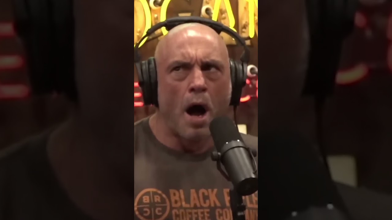 Art and Craftsmanship Of Saint Peter's Basilica - Joe Rogan Podcast