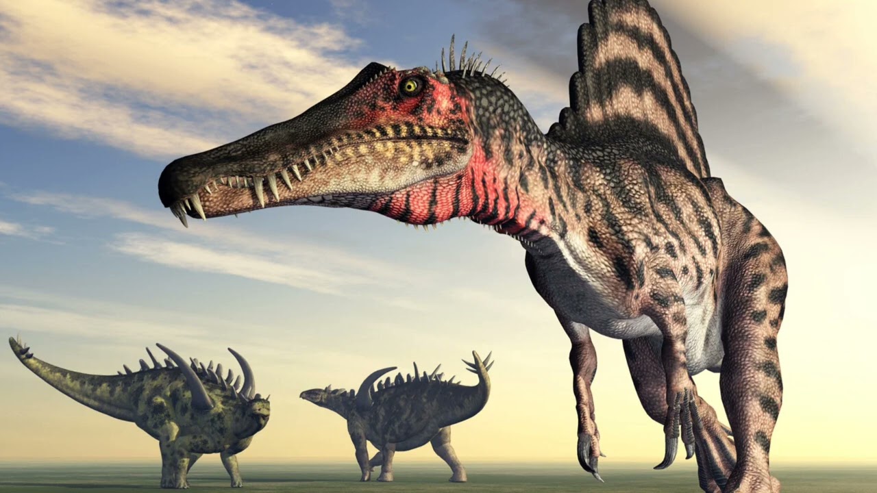 The 12 Types of Dinosaurs