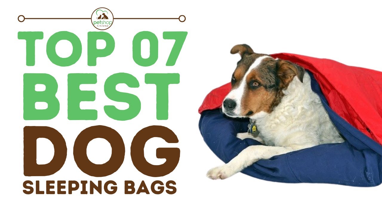 Top Best Dog Sleeping Bags