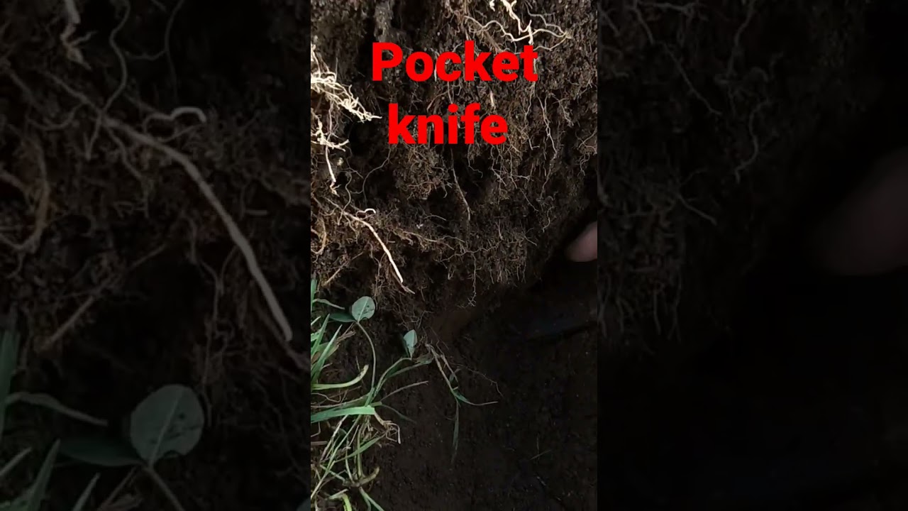 wow pocket knife found metal detecting 1800s permission #fun #detecting
