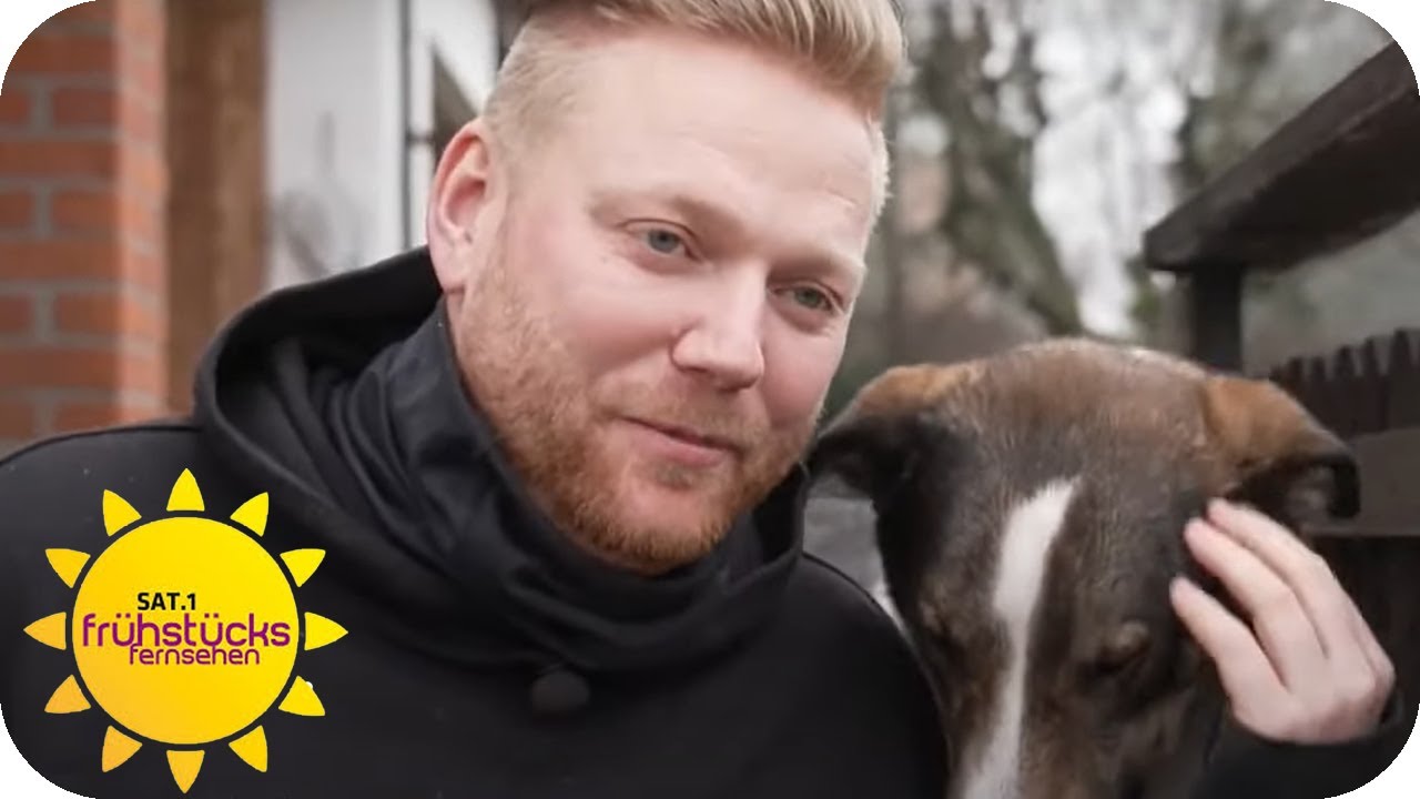 Heilung durch Hunde - ein Therapiehund gegen Angst- und Panikst&ouml;rungen | SAT.1 Fr&uuml;hst&uuml;cksfernsehen