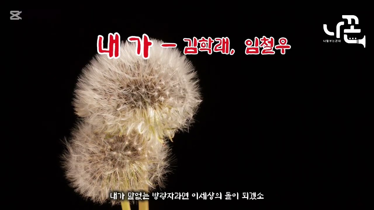 내가   #김학래   #임철우   #에어로폰    #나꼰