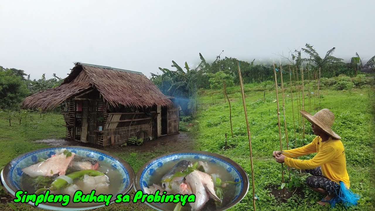 Cooking Salmon fish soup recipe during Typhoon | Lutong Probinsya 