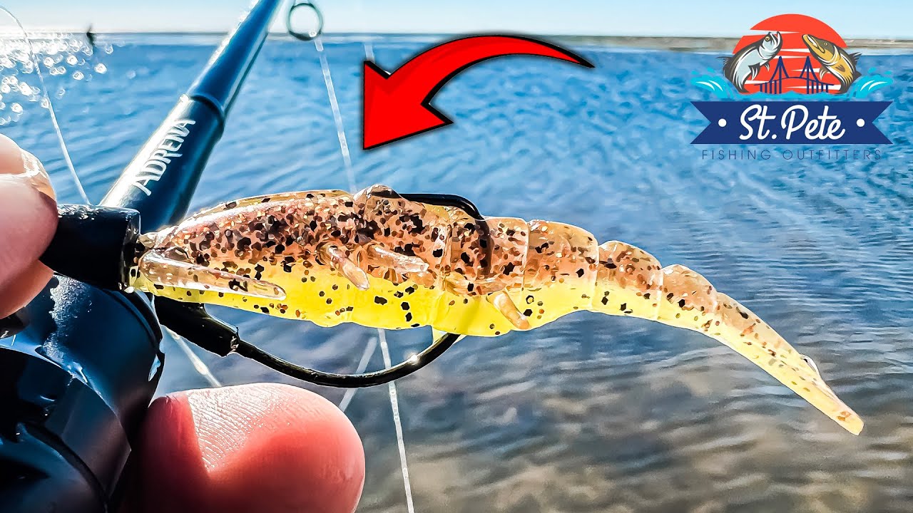 Why this is the ULTIMATE Artificial Shrimp (Snook, Redfish & Trout)