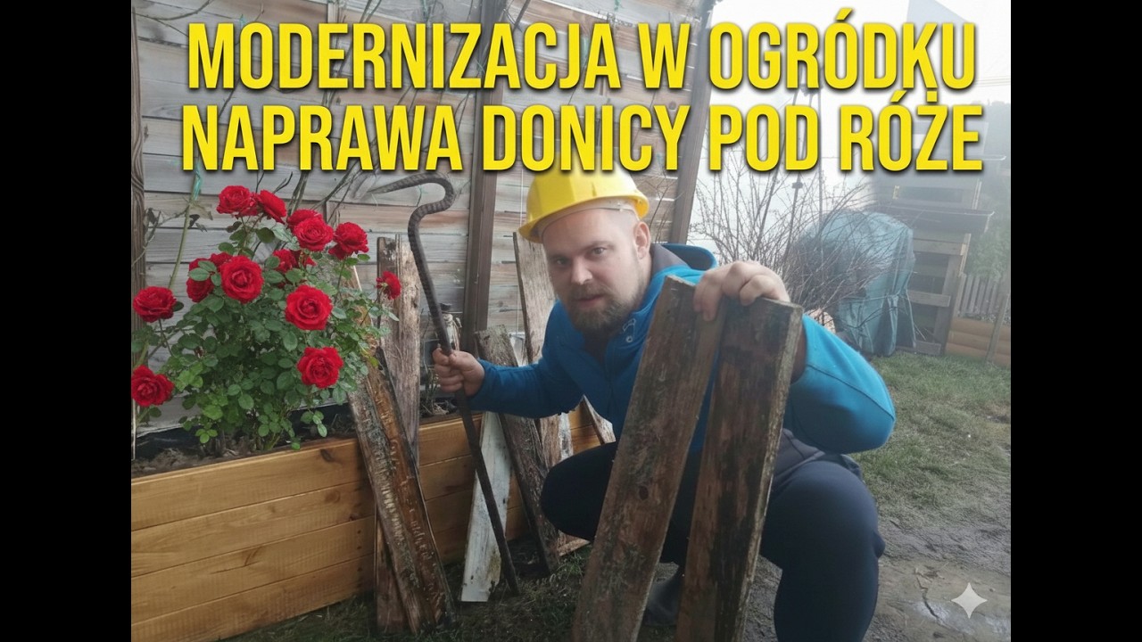 Modernizacja w ogródku, nowe deski w donicy pod różę. Pognite dechy:) Piękna marcowa pogoda !!!