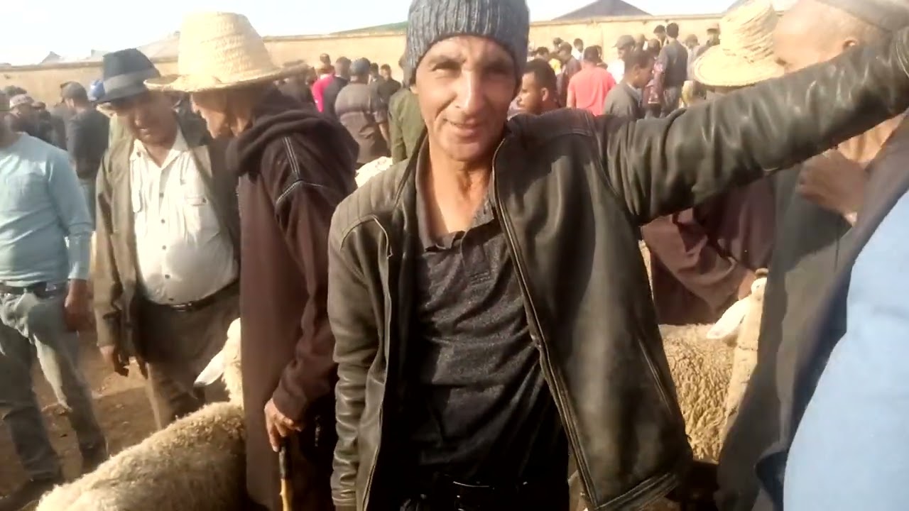 #مباشرة