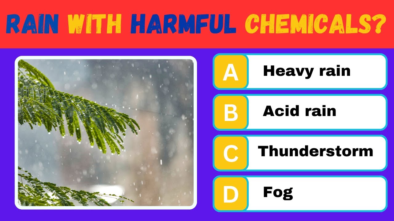 The Ultimate General Knowledge Quiz🧠| Can You Pass This 35-Question General Knowledge Quiz? 💡