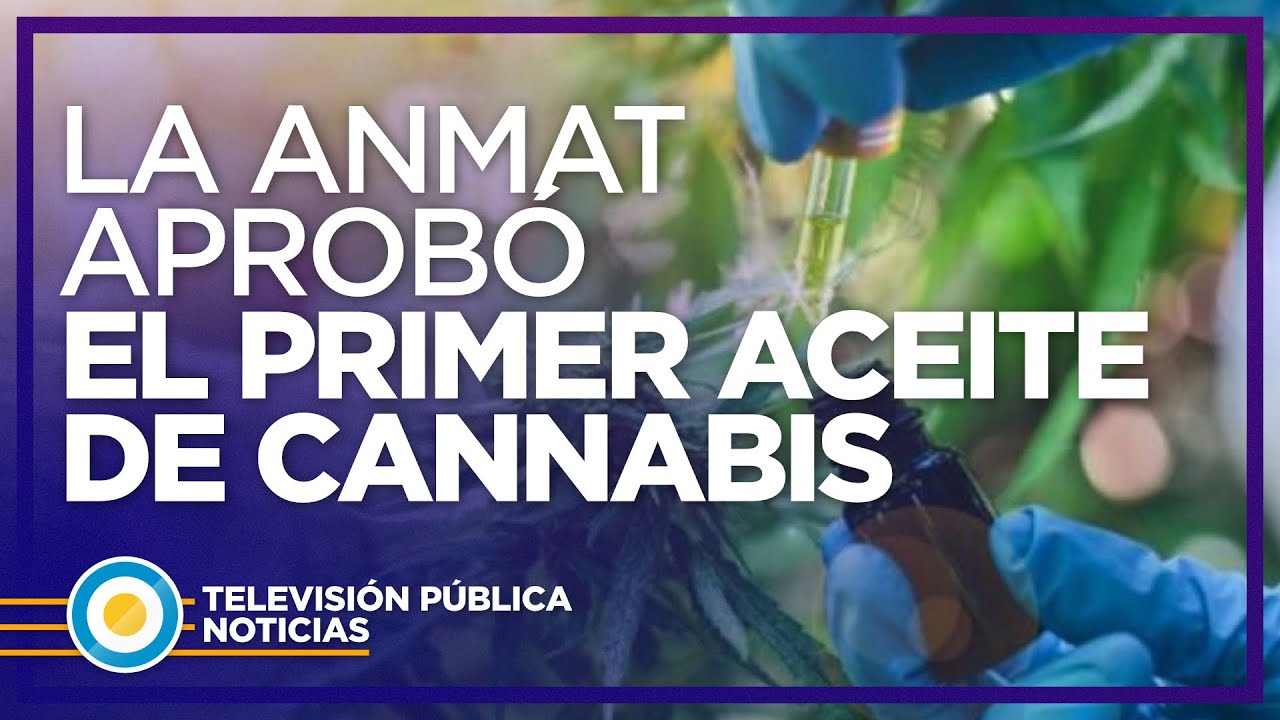 La ANMAT aprob&oacute; el primer aceite de cannabis