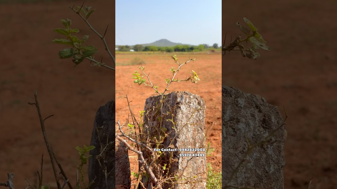 Land for sale in Manapparai 😊 @ilovemanapparai #trending #realestate