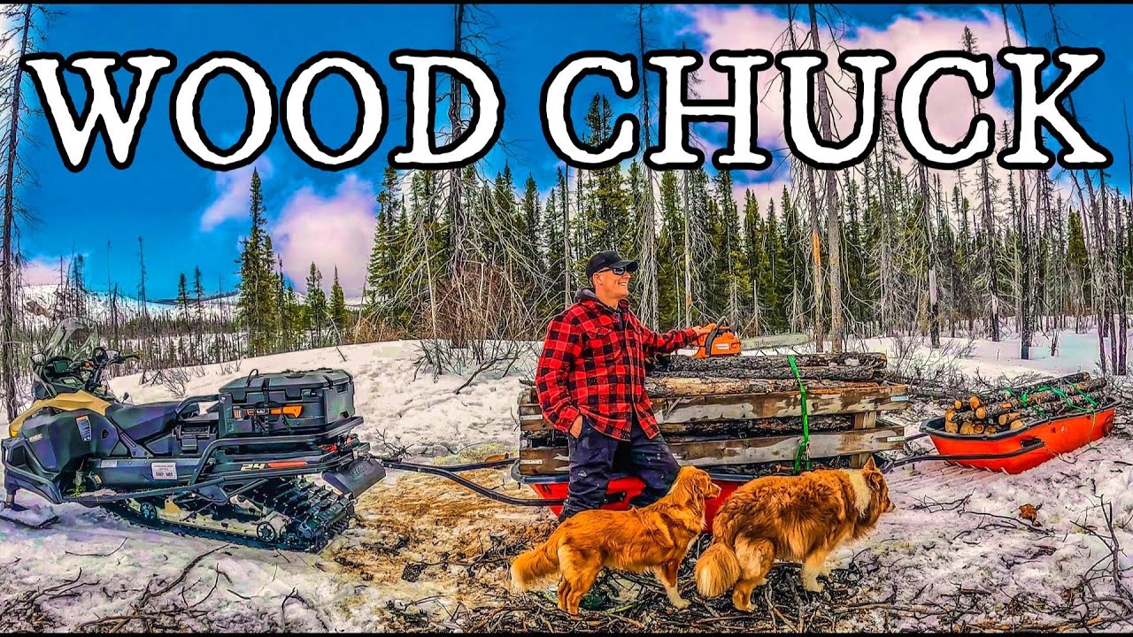 Перевозка самой большой партии дров в моей жизни с новым Skandic — костер с забавной историей