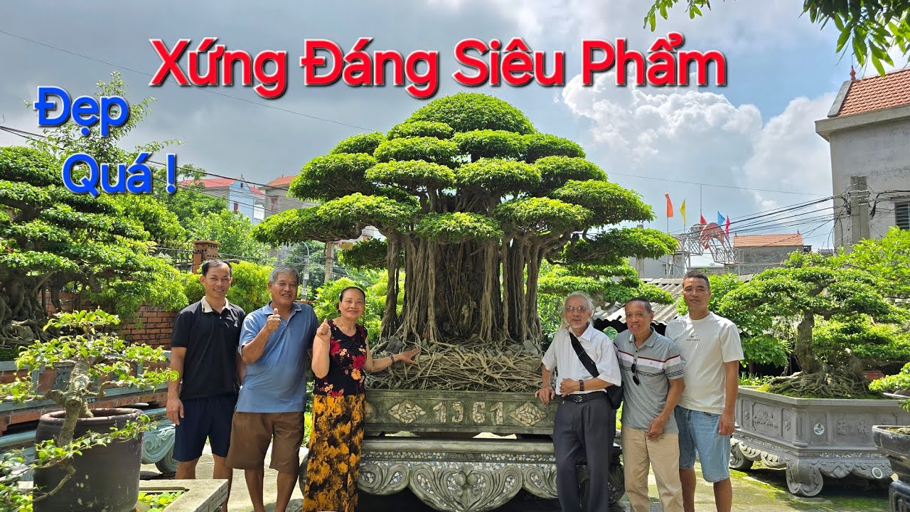 TP TUYỆT ĐẸP này có xứng đáng là : VUA DÁNG LÀNG ở BẮC NINH không QUÝ VỊ ?