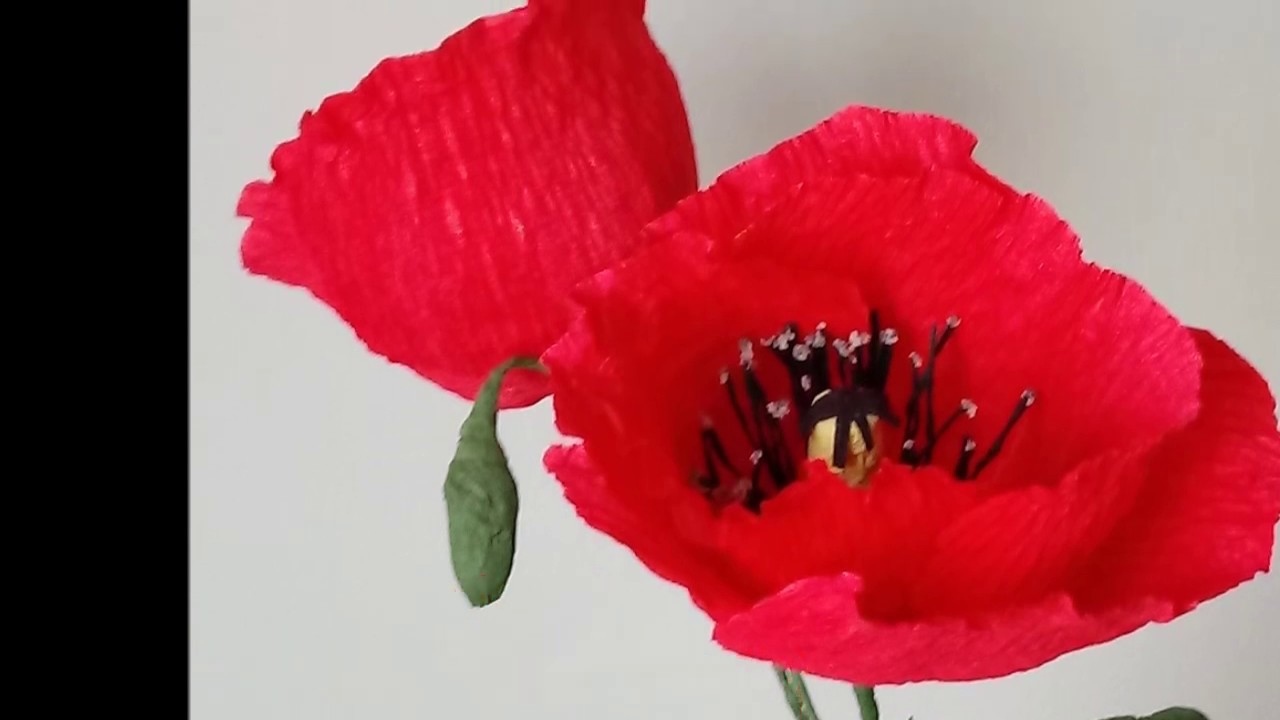 JAK ZROBIĆ KWIAT MAKU  Z KREPINY 🌺 MAKI TUTORIAL 🌸CREPE FLOWER  DIY