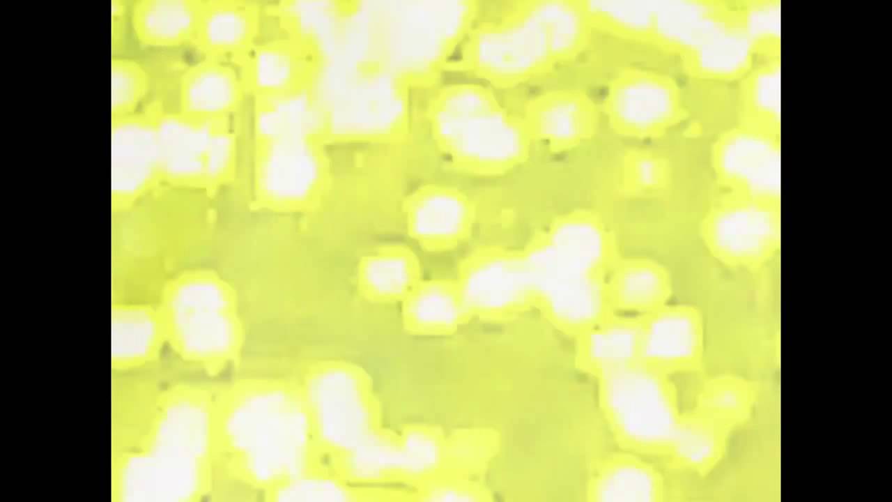 Eli Keszler Oxtirn