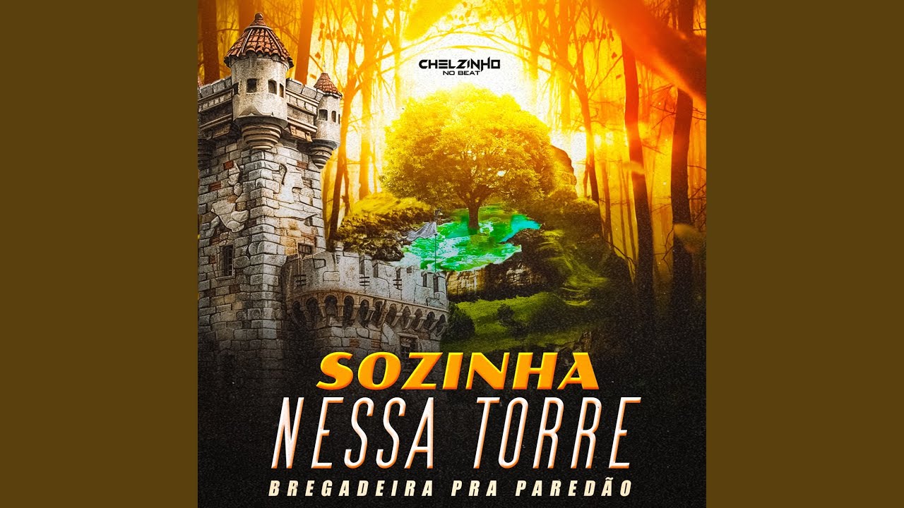 Sozinha Nessa Torre Bregadeira Pra Paredão