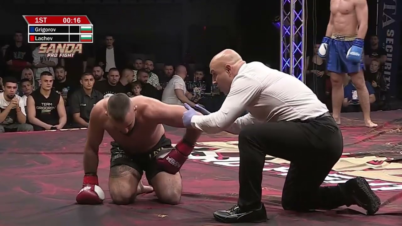 Sanda Pro Fight - Blagoy Lachev (BG) vs Viktor Grigorov (BG)