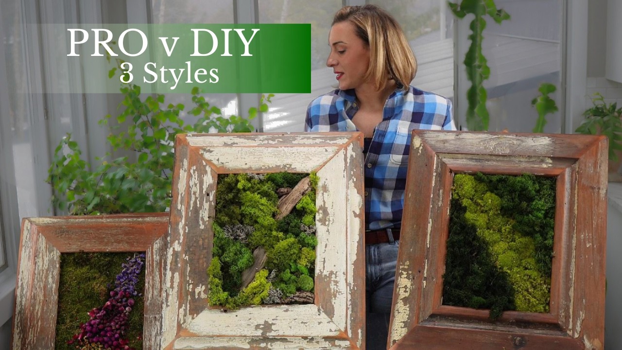 Я попыталась воссоздать моховое искусство из Нью-Йоркского ботанического сада &mdash; вот что я узнала.