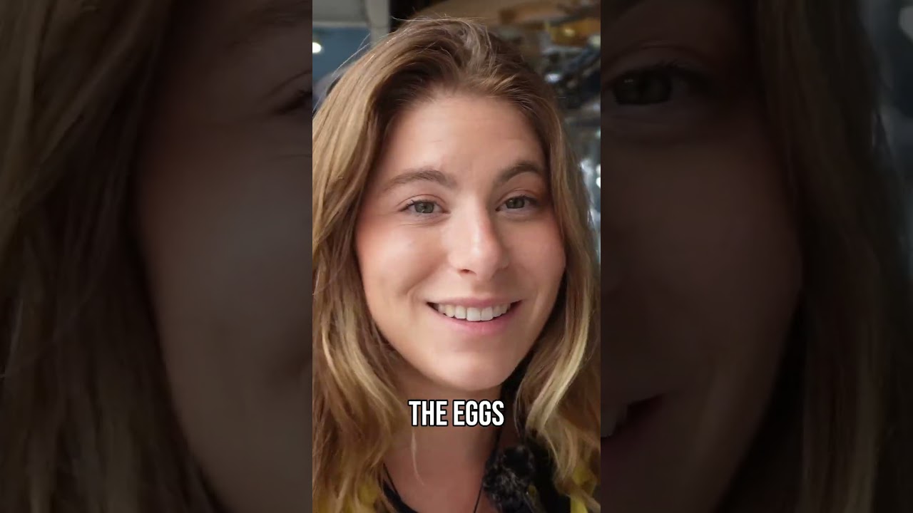 Eat Black Eggs & Live Forever?! Exploring Japanese Hot Springs!