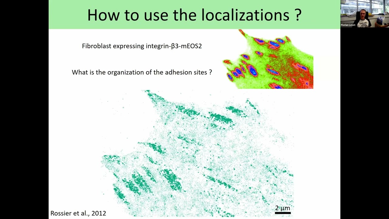 Coordinate-based quantification of single-molecule localization microscopy data