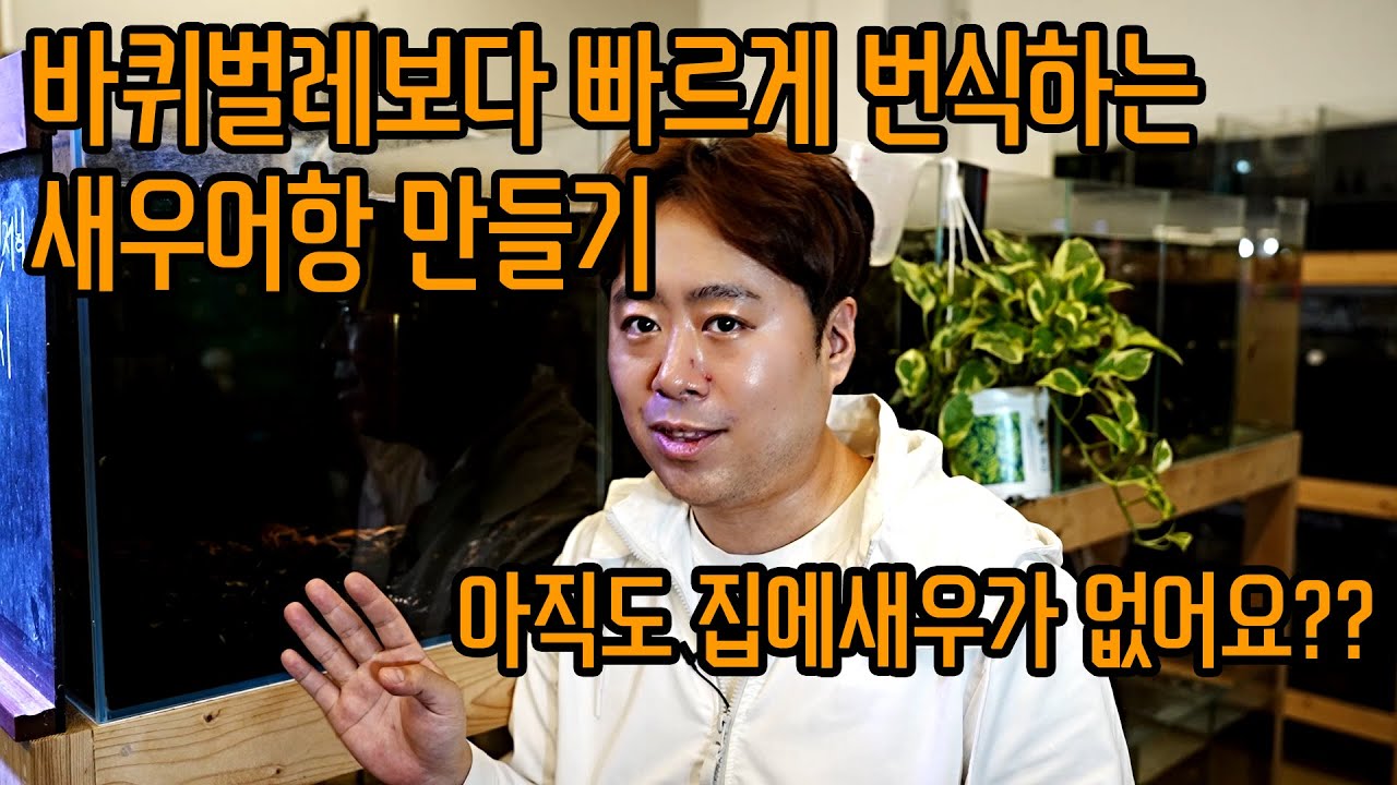 바퀴벌레보다 빠르게 번식하는 새우어항 만들기!
