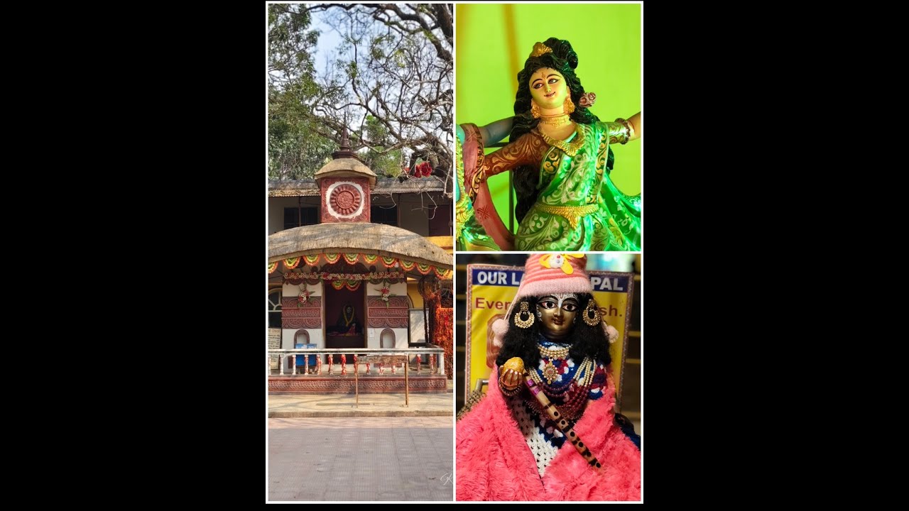 নবদ্বীপ ধামে মহাপ্রভুর জন্মস্থান মন্দির দর্শন।। মায়াপুর মন্দির পরিভ্রমণ।। রিও প্রথম বাসে উঠলো।