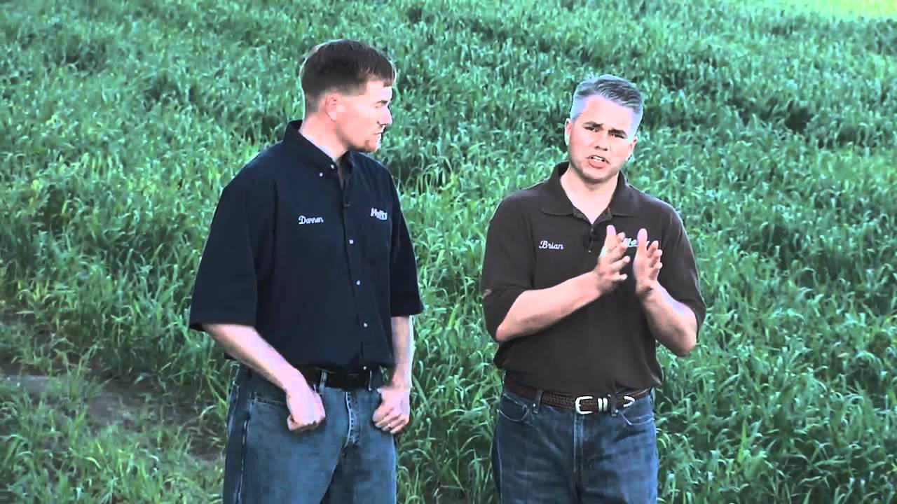 Fertilizing Soybeans #690 (Air Date 6/26/11)
