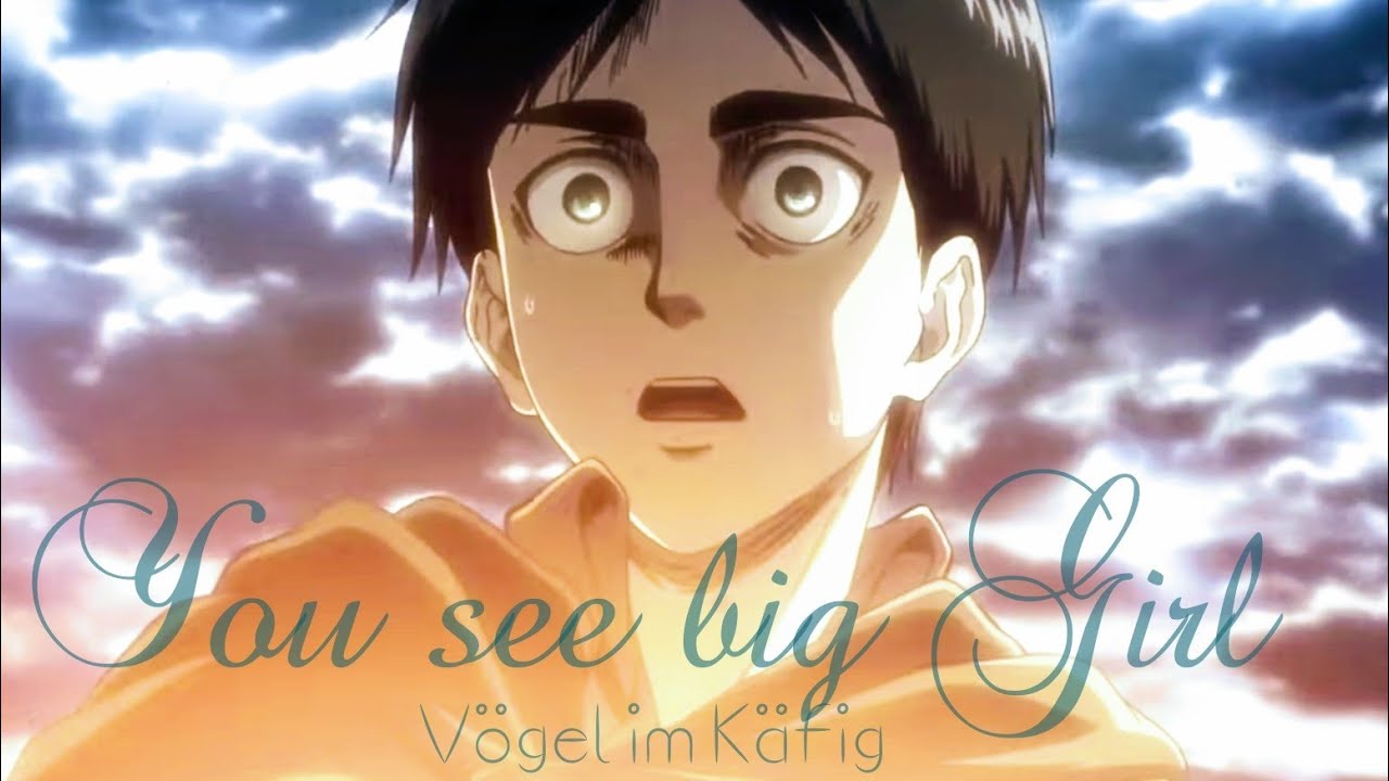 Attack on Titan AMV 