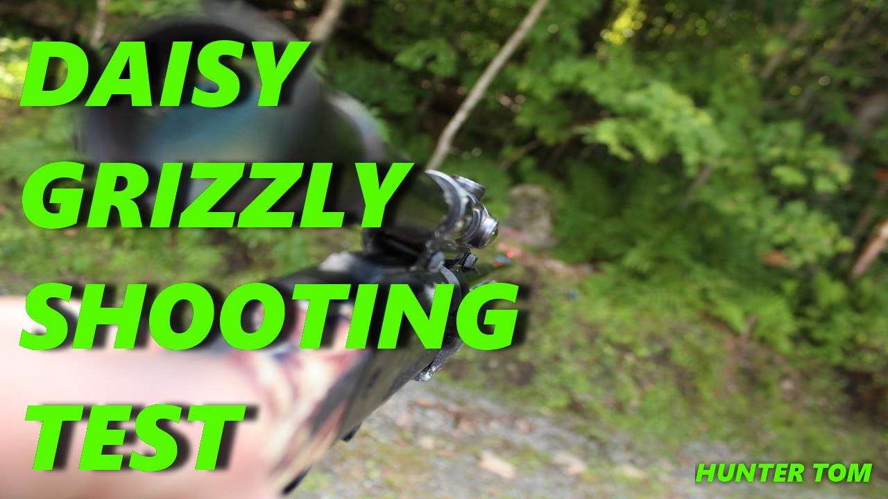 Daisy Grizzly Shooting Test