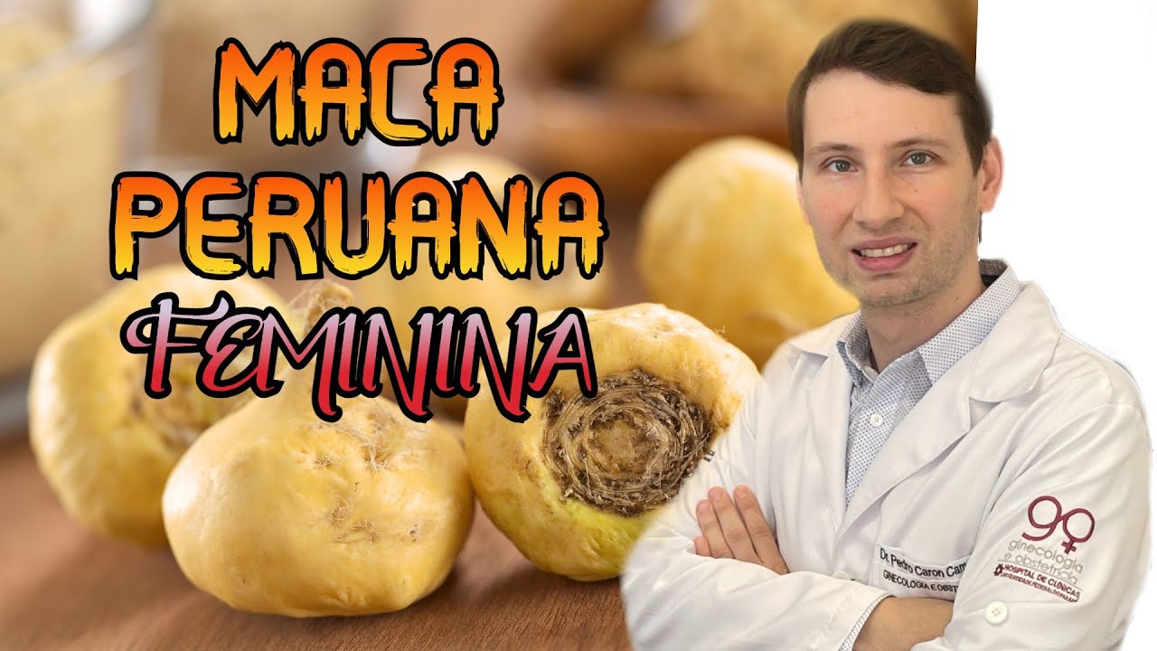 CONHEÇA: MACA PERUANA PARA QUE SERVE feminina e COMO TOMAR.