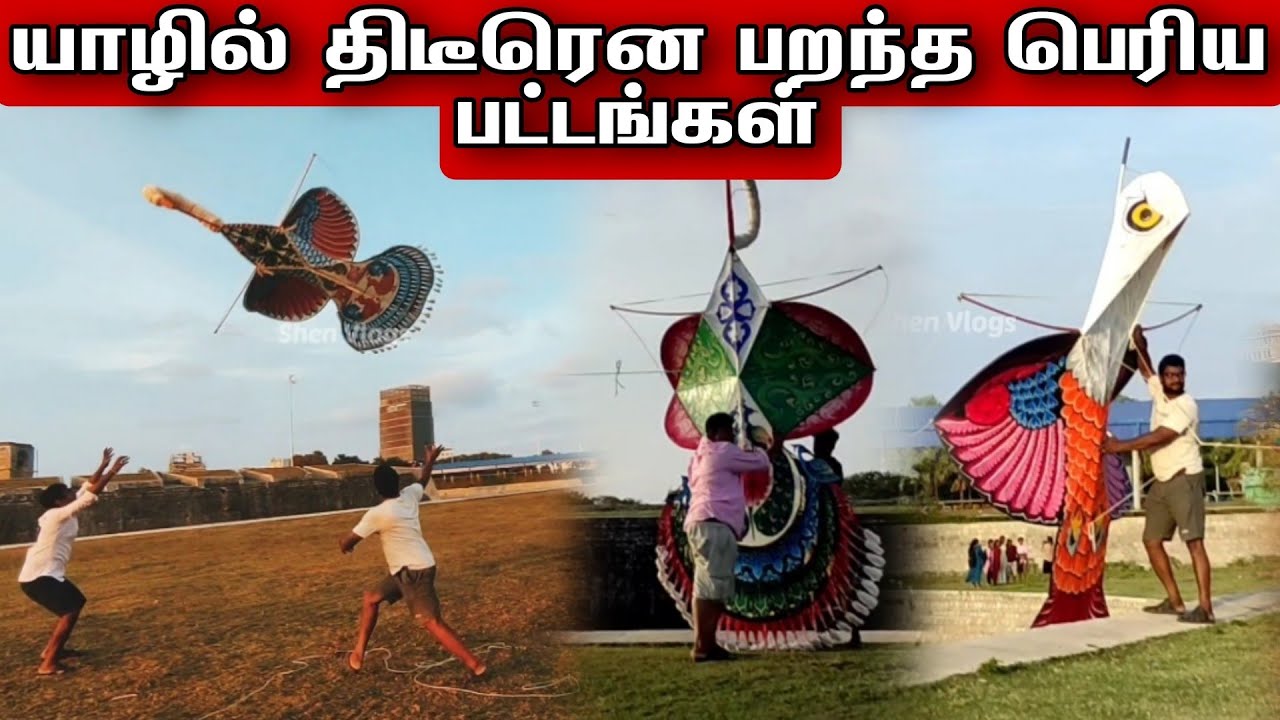 யாழில் திடீென்று பறக்கவிடப்பட்ட பெரிய  பட்டங்கள் | Jaffna | Shen Vlogs