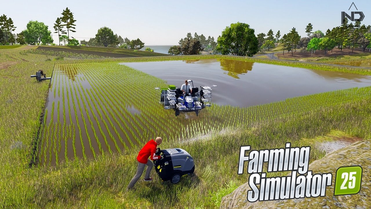 Farming Simulator 25 #11 - Mùa Cấy Lúa Bất Ổn !!