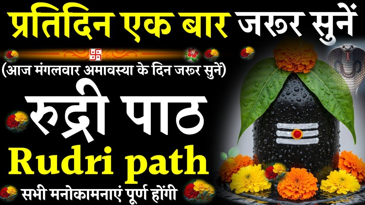 Rudri path || रुद्री पाठ|प्रतिदिन एक बार जरूर सुनें|#@pujapathmantrastotra_shakti9 #rudripath #shiv 