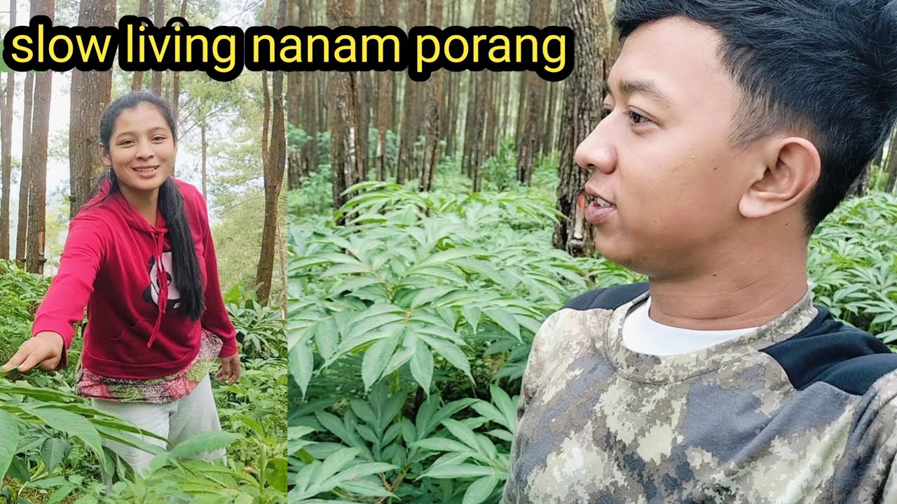 SLOW LIVING//MELIHAT TANAMAN PORANG KU DIPENUHI RUMPUT 