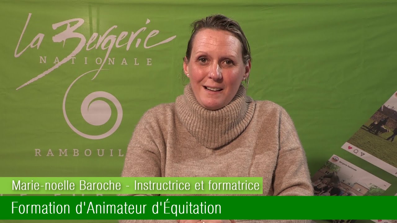 Animateur d'Équitation