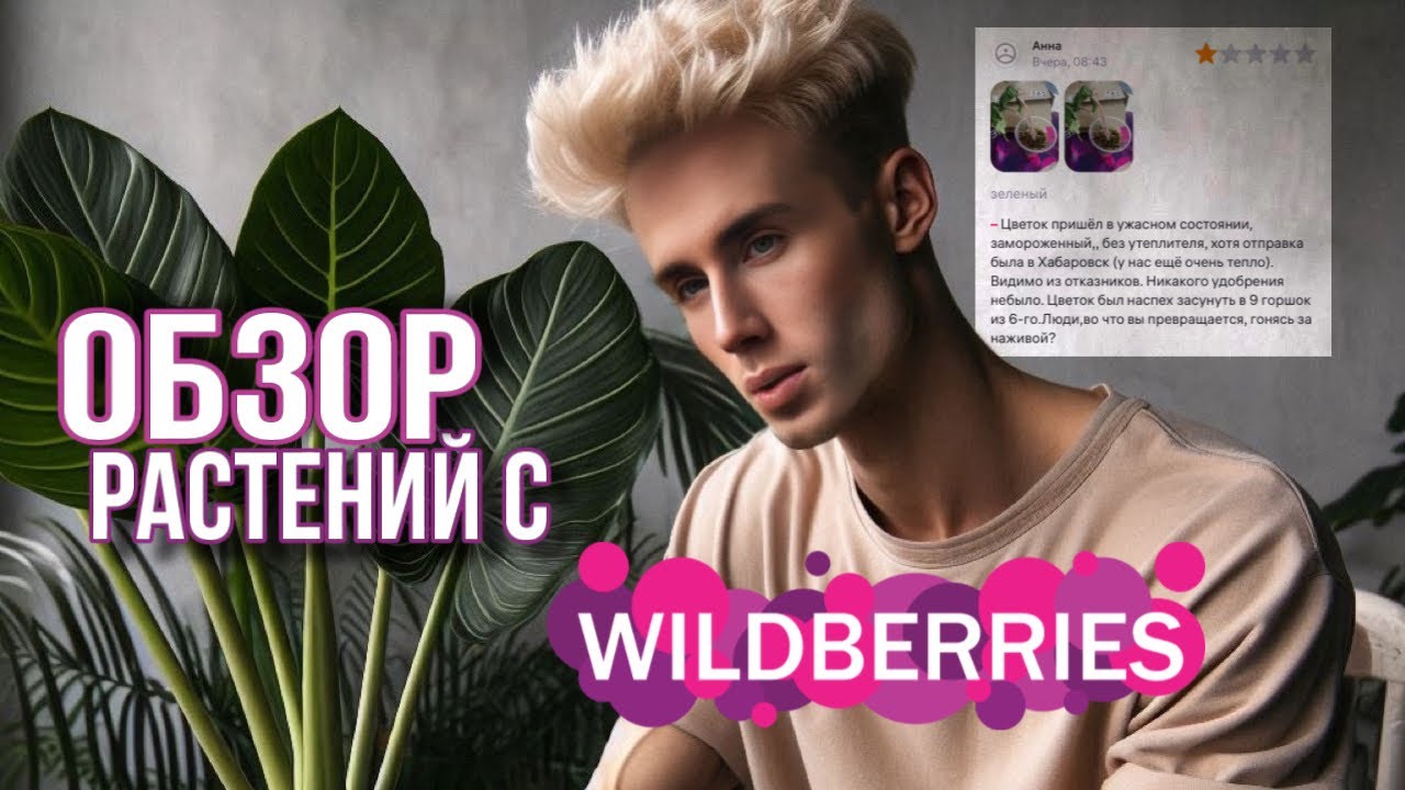 РЕДКИЕ РАСТЕНИЯ С WILDBERRIES /⭐️ РАСПАКОВКА НОВИНОК И РОЗЫГРЫШ МОЕЙ АЛЬБЫ !🔥🪴
