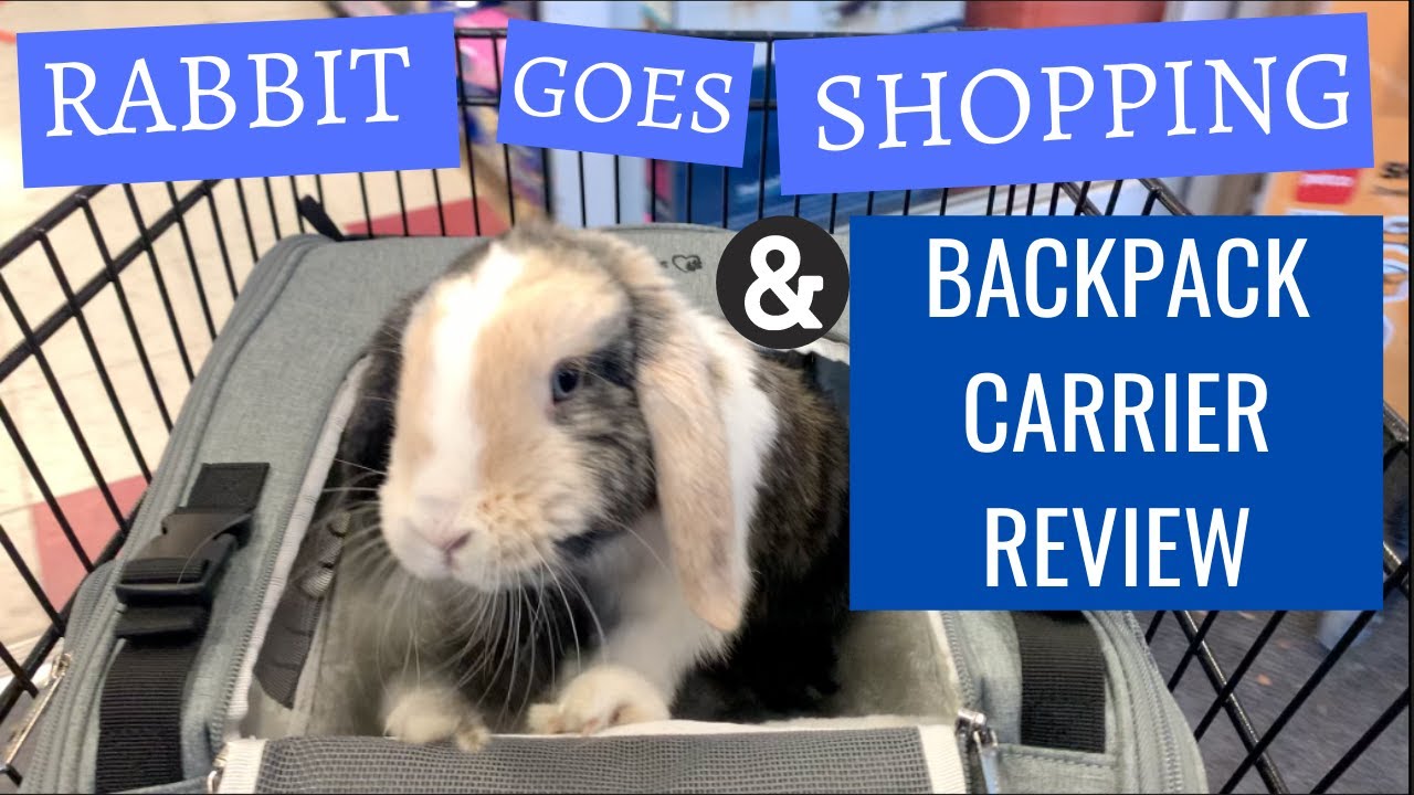 BEST BACKPACK CARRIER FOR BUNNIES + Rabbit Goes Shopping Part 2