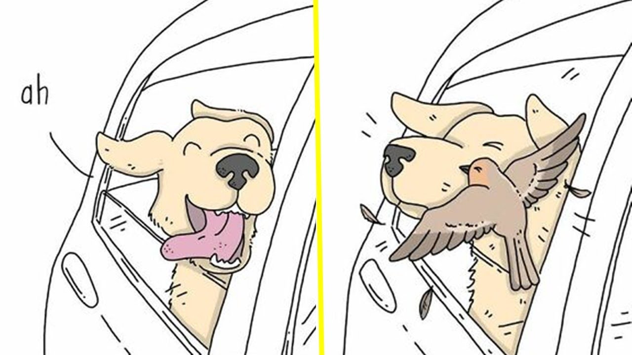 Artist Reveals What Animals Would Say If They Could Talk