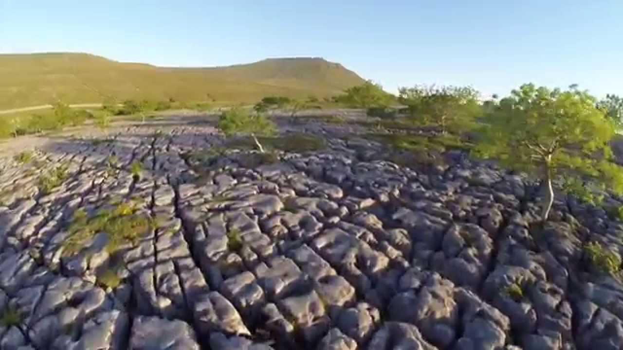 Ingleborough's Nature Reserves