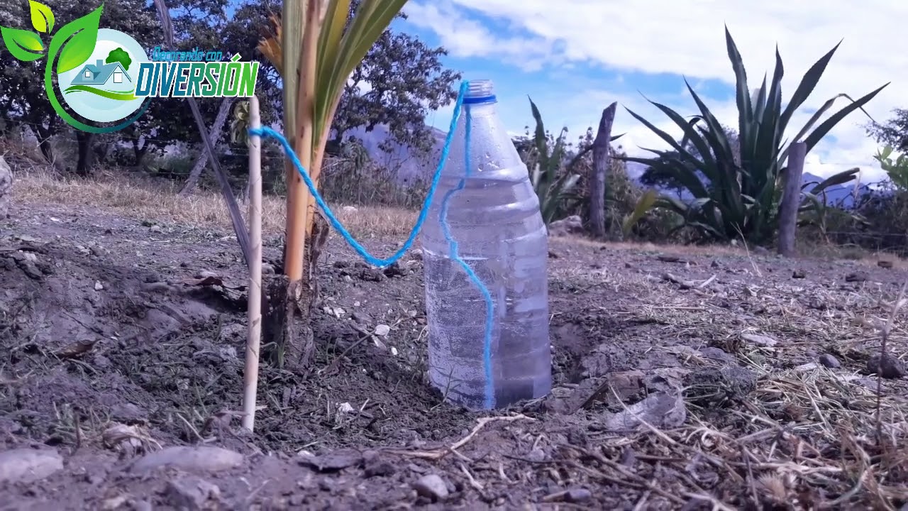Sistema de Riego Automatico Casero