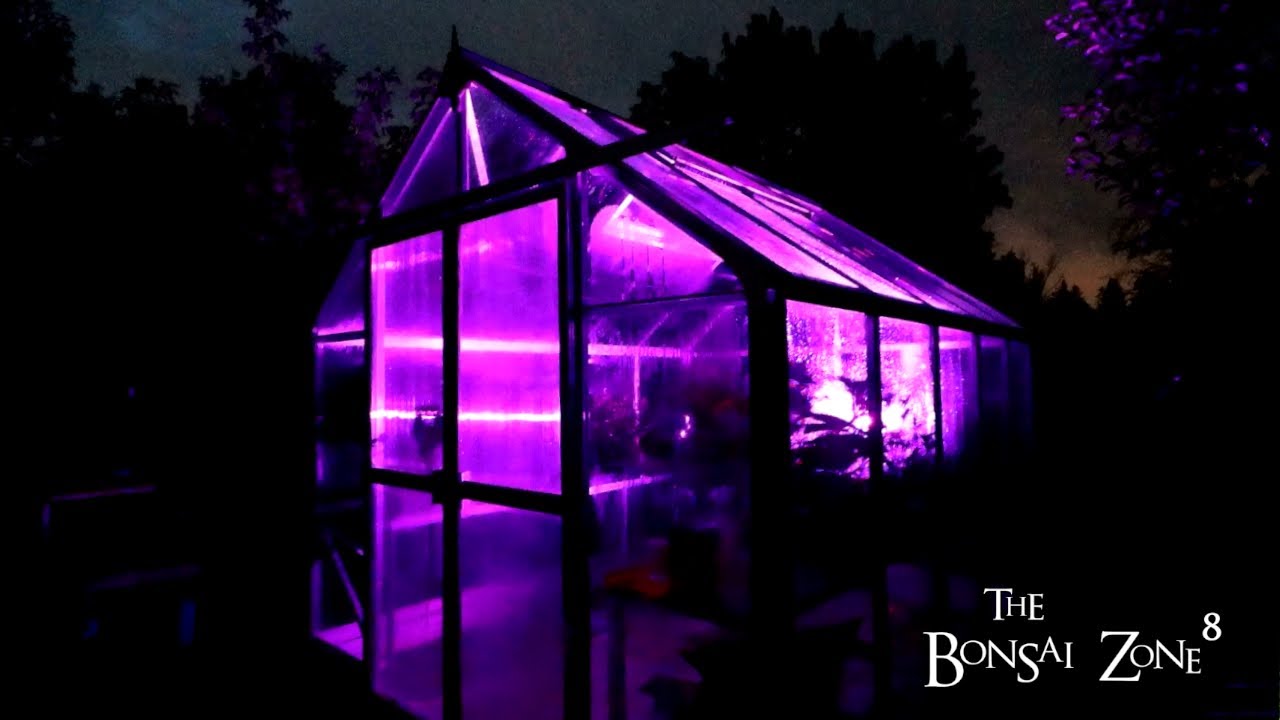 Heating My Glass Bonsai Greenhouse, The Bonsai Zone, Oct 15 2021
